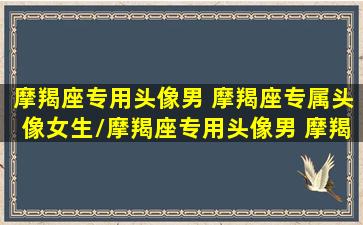 摩羯座专用头像男 摩羯座专属头像女生/摩羯座专用头像男 摩羯座专属头像女生-我的网站